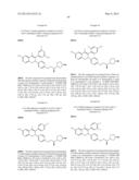 ESTROGEN RECEPTOR MODULATORS AND USES THEREOF diagram and image