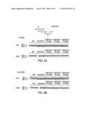 IRE-1alpha INHIBITORS diagram and image