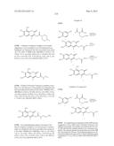 IRE-1alpha INHIBITORS diagram and image