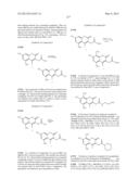 IRE-1alpha INHIBITORS diagram and image