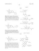 IRE-1alpha INHIBITORS diagram and image