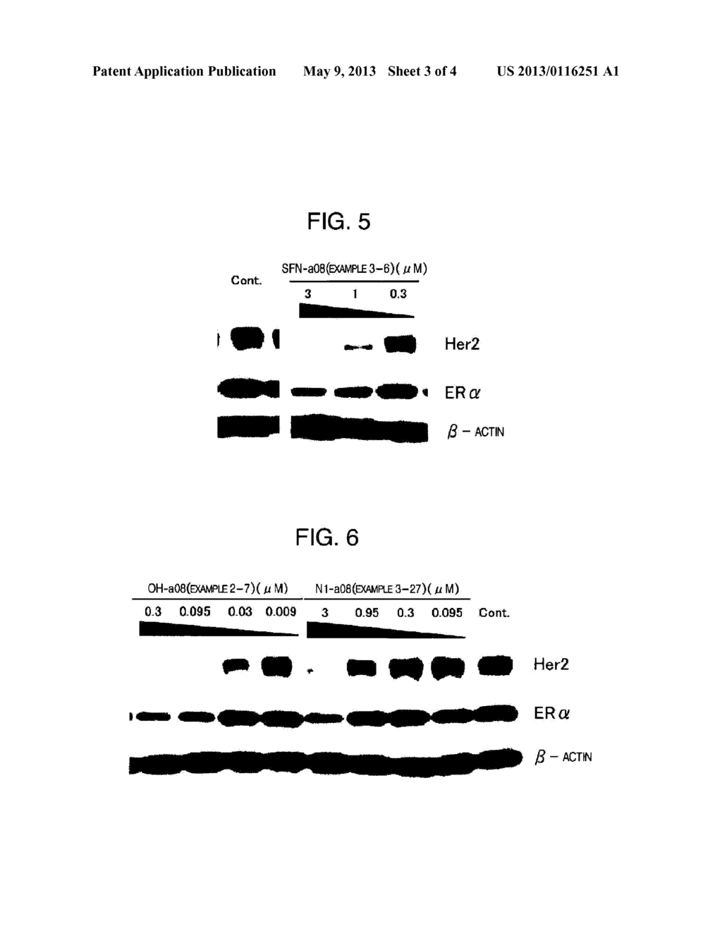 Novel HSP90 Inhibitor - diagram, schematic, and image 04