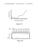 METHODS AND COMPOSITIONS FOR THE INHIBITION OF HIV-1 REPLICATION diagram and image