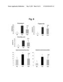 COMPOSITION FOR THE PREVENTION OR TREATMENT OF OBESITY, DYSLIPIDAEMIA,     FATTY LIVER OR INSULIN RESISTANCE SYNDROME, COMPRISING PIPERONAL AS AN     ACTIVE INGREDIENT diagram and image