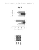 COMPOSITION FOR THE PREVENTION OR TREATMENT OF OBESITY, DYSLIPIDAEMIA,     FATTY LIVER OR INSULIN RESISTANCE SYNDROME, COMPRISING PIPERONAL AS AN     ACTIVE INGREDIENT diagram and image