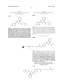 Enzyme Inhibitors diagram and image