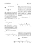 Enzyme Inhibitors diagram and image