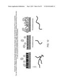 COMPOSITIONS COMPRISING MODIFIED COLLAGEN AND USES THEREFOR diagram and image