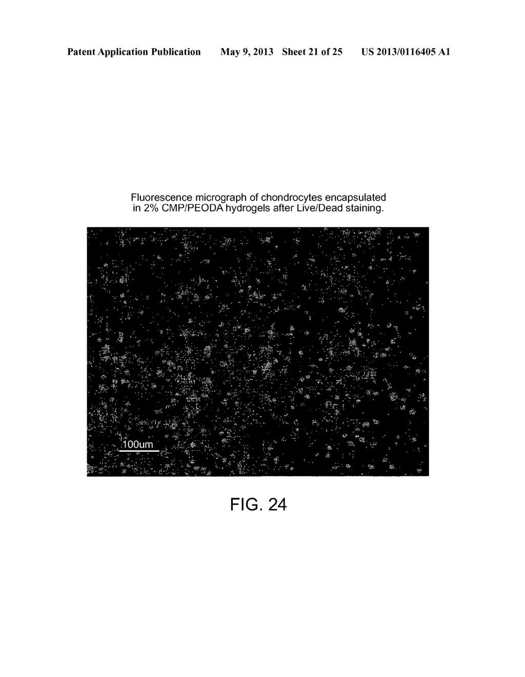 COMPOSITIONS COMPRISING MODIFIED COLLAGEN AND USES THEREFOR - diagram, schematic, and image 22