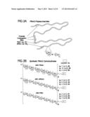 Synthetic Oligosaccharides for Staphylococcus Vaccine diagram and image