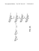 Synthetic Oligosaccharides for Staphylococcus Vaccine diagram and image