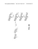 Synthetic Oligosaccharides for Staphylococcus Vaccine diagram and image