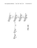 Synthetic Oligosaccharides for Staphylococcus Vaccine diagram and image