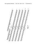 Synthetic Oligosaccharides for Staphylococcus Vaccine diagram and image