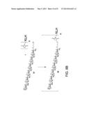 Synthetic Oligosaccharides for Staphylococcus Vaccine diagram and image