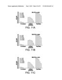 Synthetic Oligosaccharides for Staphylococcus Vaccine diagram and image