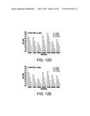 Synthetic Oligosaccharides for Staphylococcus Vaccine diagram and image