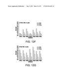 Synthetic Oligosaccharides for Staphylococcus Vaccine diagram and image