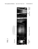 METHOD AND APPARATUS FOR ACOUSTICALLY MANIPULATING BIOLOGICAL PARTICLES diagram and image