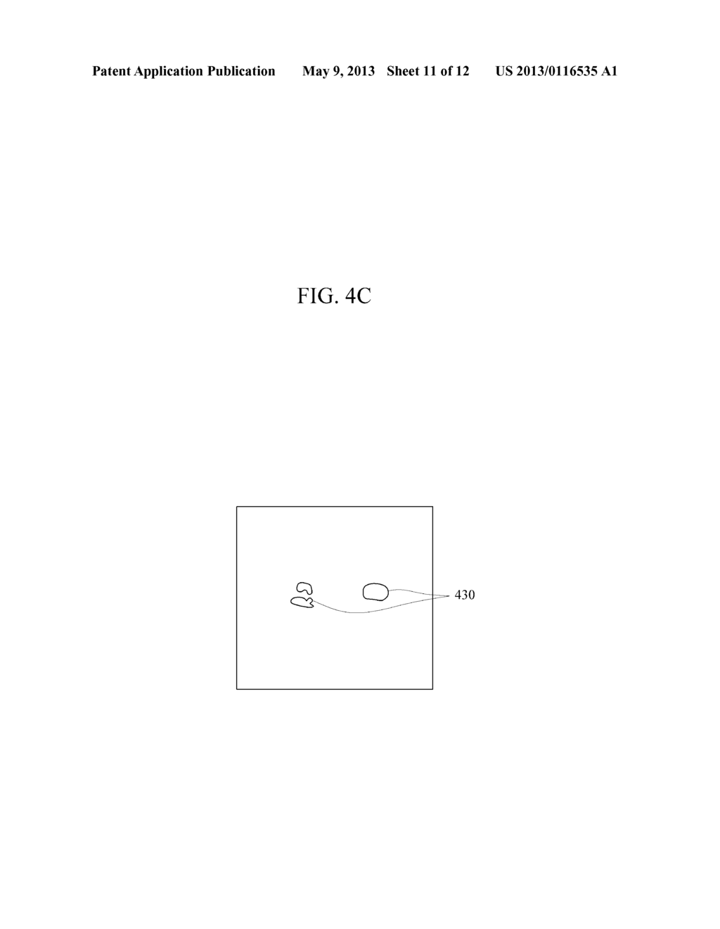 APPARATUS AND METHOD FOR DIAGNOSING A LESION - diagram, schematic, and image 12