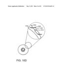 BALLOON ASSEMBLIES HAVING CONTROLLABLY VARIABLE TOPOGRAPHIES diagram and image