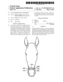 Nasal Support Device and Method diagram and image