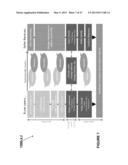 SOCIAL BUSINESS TO BUSINESS MARKETPLACE SYSTEM AND METHOD diagram and image