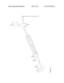 Novel Microrna Precursor and Methods of Use for Regulation of Target Gene     Expression diagram and image