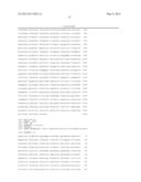 Novel Microrna Precursor and Methods of Use for Regulation of Target Gene     Expression diagram and image