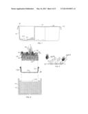 STARTER TRAY AND PLANTING AND METHOD USING A TRAY diagram and image