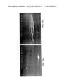 SILVER SELENIDE SPUTTERED FILMS AND METHOD AND APPARATUS FOR CONTROLLING     DEFECT FORMATION IN SILVER SELENIDE SPUTTERED FILMS diagram and image
