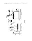 METHODS FOR USING A NANOPORE diagram and image