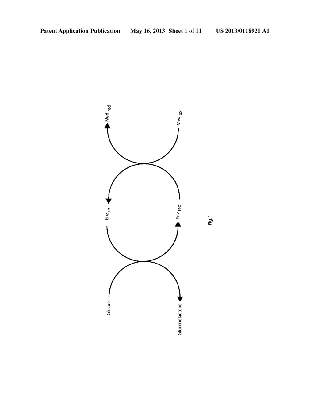 Analyte Determination Method and Analyte Meter - diagram, schematic, and image 02