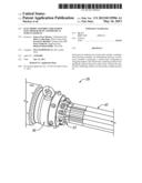 Electrode Assembly for Marine Electromagnetic Geophysical Survey Sources diagram and image