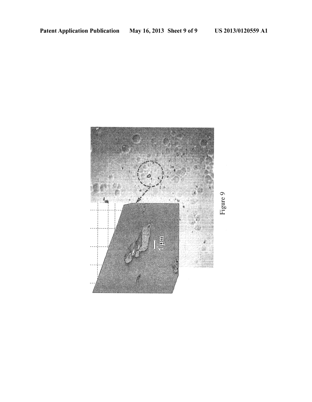 METHOD AND SYSTEM FOR INSPECTING SURFACES OF MINIATURE COMPONENTS - diagram, schematic, and image 10