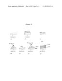 X-RAY NEEDLE MODULE FOR LOCAL RADIATION THERAPY diagram and image