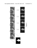 Methods and Apparatus for Chatter Reduction in Video Object Segmentation     Using Optical Flow Assisted Gaussholding diagram and image