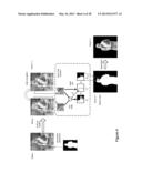 Methods and Apparatus for Chatter Reduction in Video Object Segmentation     Using Optical Flow Assisted Gaussholding diagram and image