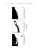 Methods and Apparatus for Chatter Reduction in Video Object Segmentation     Using Optical Flow Assisted Gaussholding diagram and image