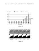 Methods and Apparatus for Chatter Reduction in Video Object Segmentation     Using Optical Flow Assisted Gaussholding diagram and image