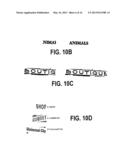 SYSTEM AND METHOD FOR ENABLING THE USE OF CAPTURED IMAGES THROUGH     RECOGNITION diagram and image