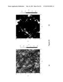 POLYMERIC SUBSTRATE HAVING AN ETCHED-GLASS-LIKE SURFACE AND A MICROFLUIDIC     CHIP MADE OF SAID POLYMERIC SUBSTRATE diagram and image