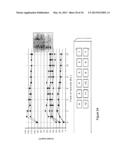 POLYMERIC SUBSTRATE HAVING AN ETCHED-GLASS-LIKE SURFACE AND A MICROFLUIDIC     CHIP MADE OF SAID POLYMERIC SUBSTRATE diagram and image