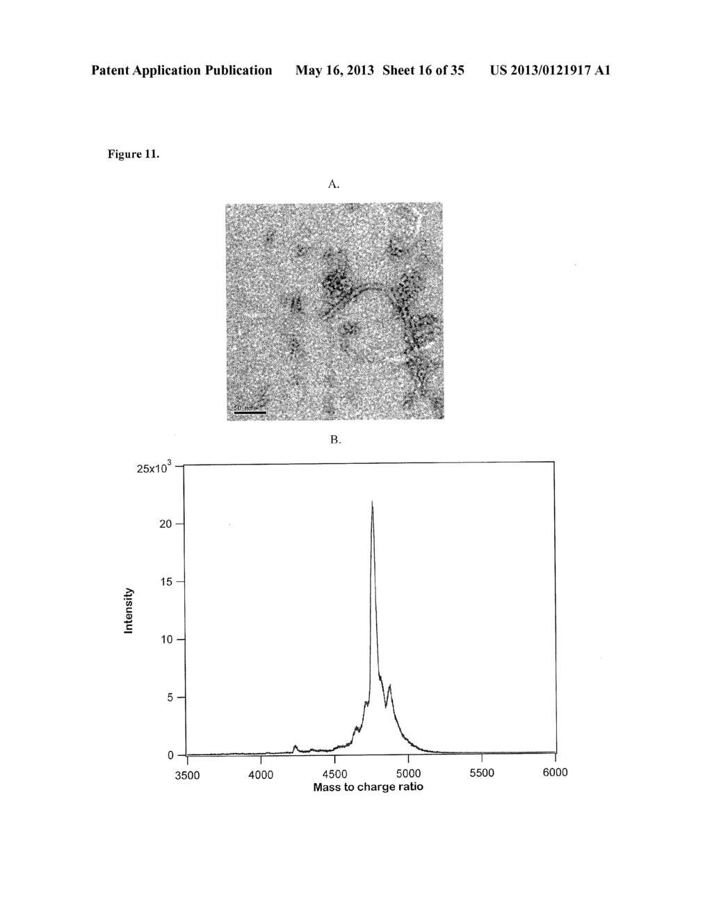 Lipid-Peptide-Polymer Conjugates and Nanoparticles Thereof - diagram, schematic, and image 17