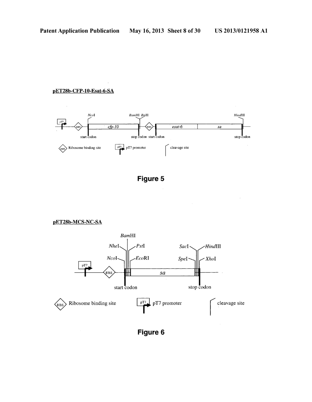 STREPTAVIDIN AND BIOTIN-BASED ANTIGEN DELIVERY SYSTEM - diagram, schematic, and image 09