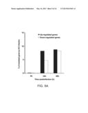 TREATMENT OF HEPATITIS C VIRUS RELATED DISEASES USING HYDROXYCHLOROQUINE     OR A COMBINATION OF HYDROXYCHLOROQUINE AND AN ANTI-VIRAL AGENT diagram and image