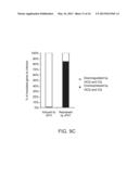 TREATMENT OF HEPATITIS C VIRUS RELATED DISEASES USING HYDROXYCHLOROQUINE     OR A COMBINATION OF HYDROXYCHLOROQUINE AND AN ANTI-VIRAL AGENT diagram and image