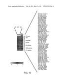 TREATMENT OF HEPATITIS C VIRUS RELATED DISEASES USING HYDROXYCHLOROQUINE     OR A COMBINATION OF HYDROXYCHLOROQUINE AND AN ANTI-VIRAL AGENT diagram and image