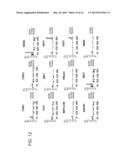 TREATMENT OF HEPATITIS C VIRUS RELATED DISEASES USING HYDROXYCHLOROQUINE     OR A COMBINATION OF HYDROXYCHLOROQUINE AND AN ANTI-VIRAL AGENT diagram and image