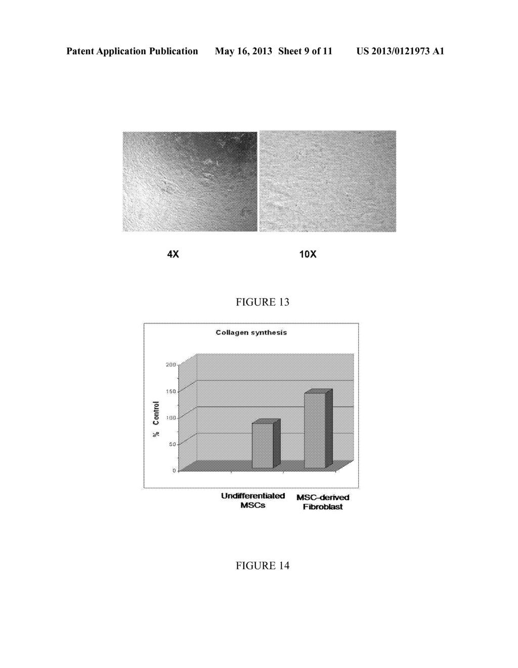 DIFFERENTIATION OF MESENCHYMAL STEM CELLS INTO FIBROBLASTS, COMPOSITIONS     COMPRISING MESENCHYMAL STEM CELL-DERIVED FIBROBLASTS, AND METHODS OF     USING THE SAME - diagram, schematic, and image 10